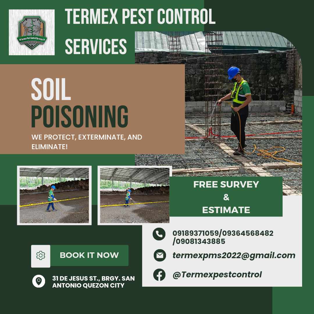Termex featured service 13