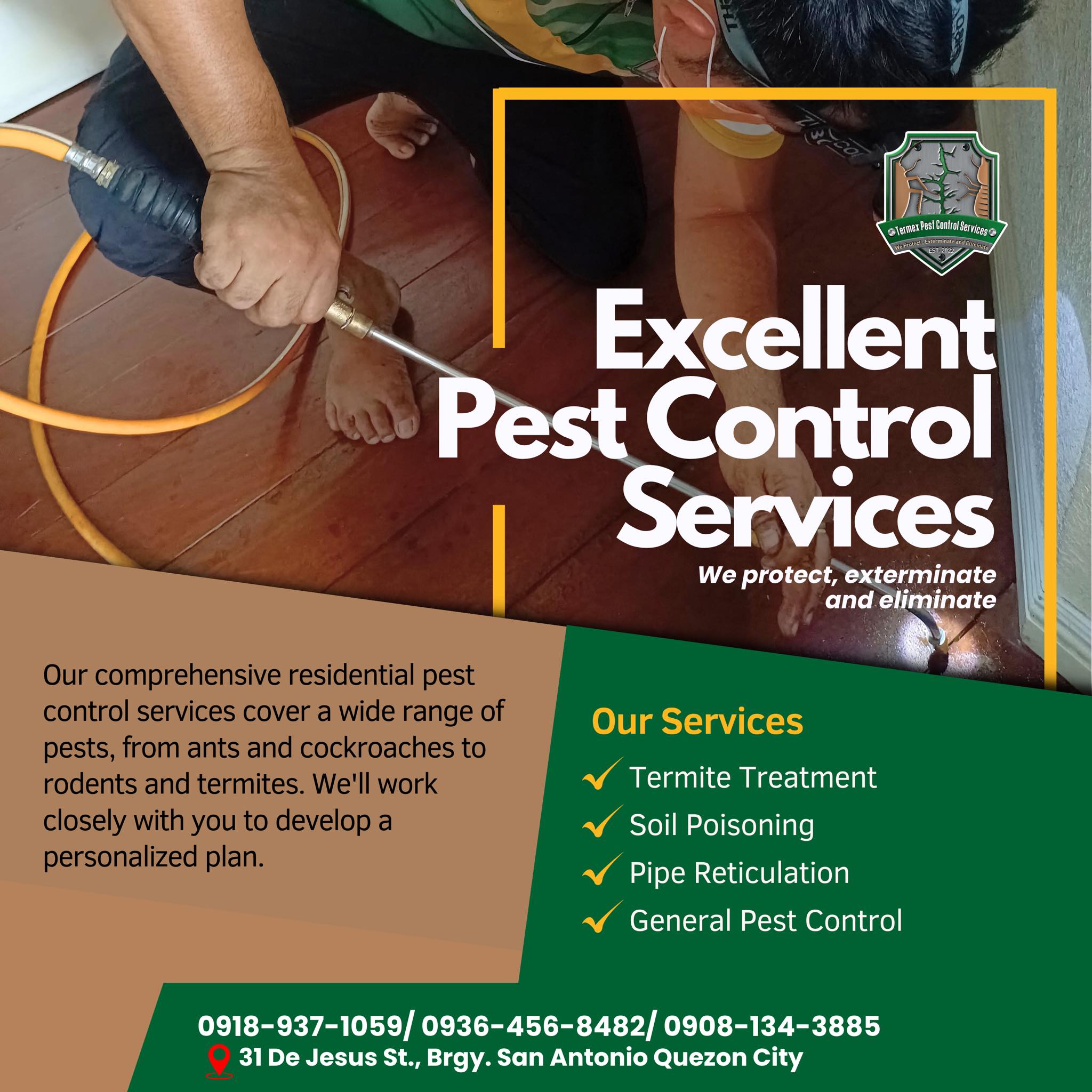 Termex featured service 1