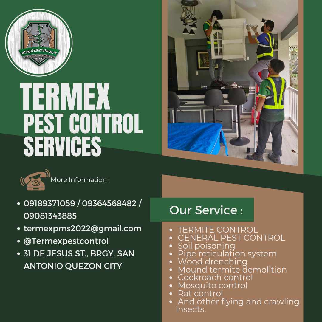 Termex featured service 2