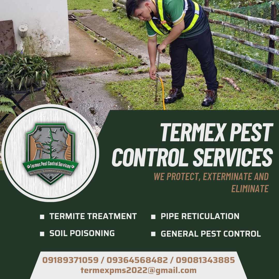 Termex featured service 4