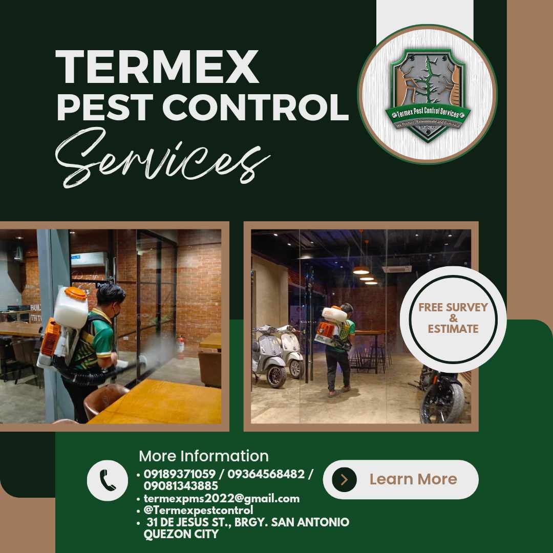 Termex featured service 5
