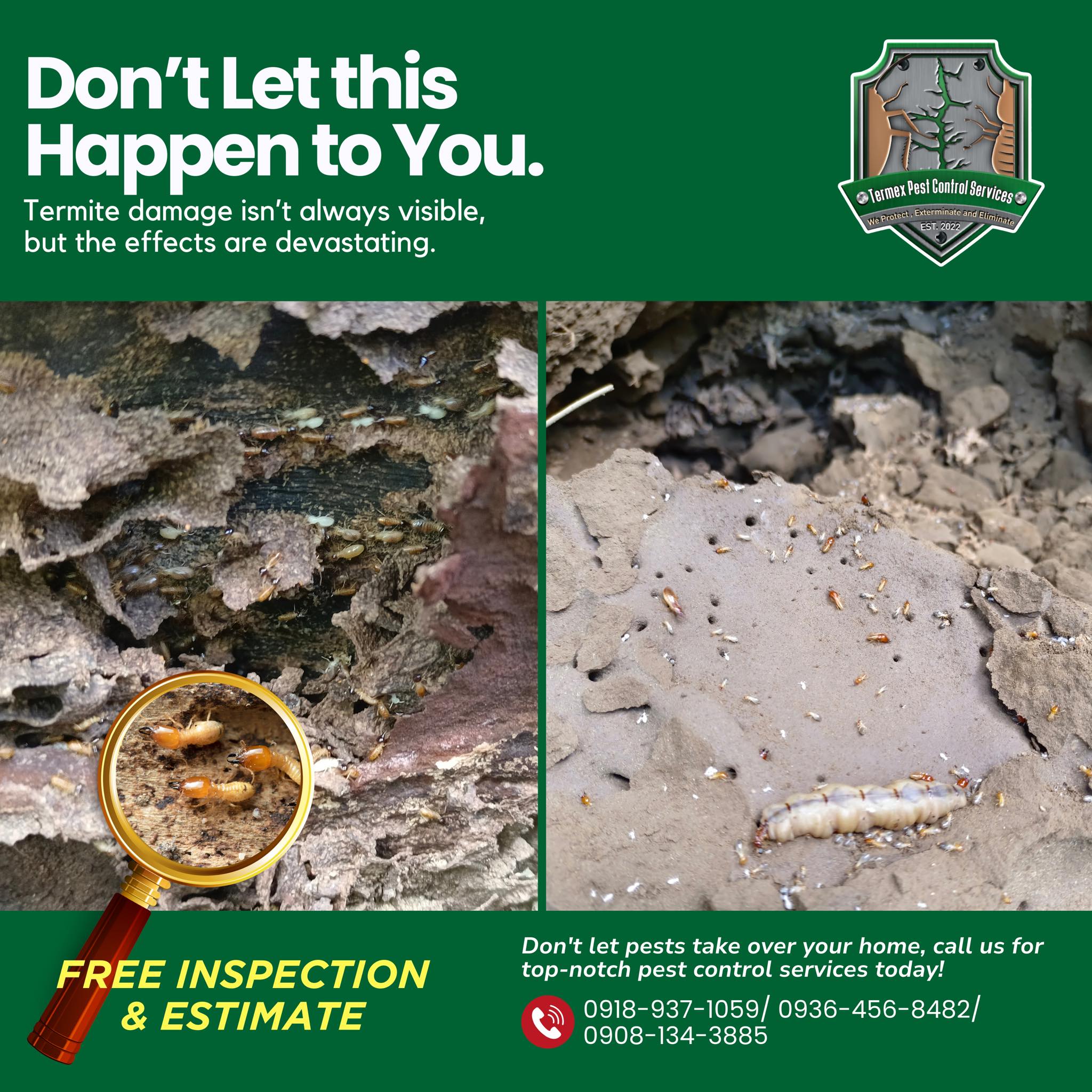 Termex featured service 6