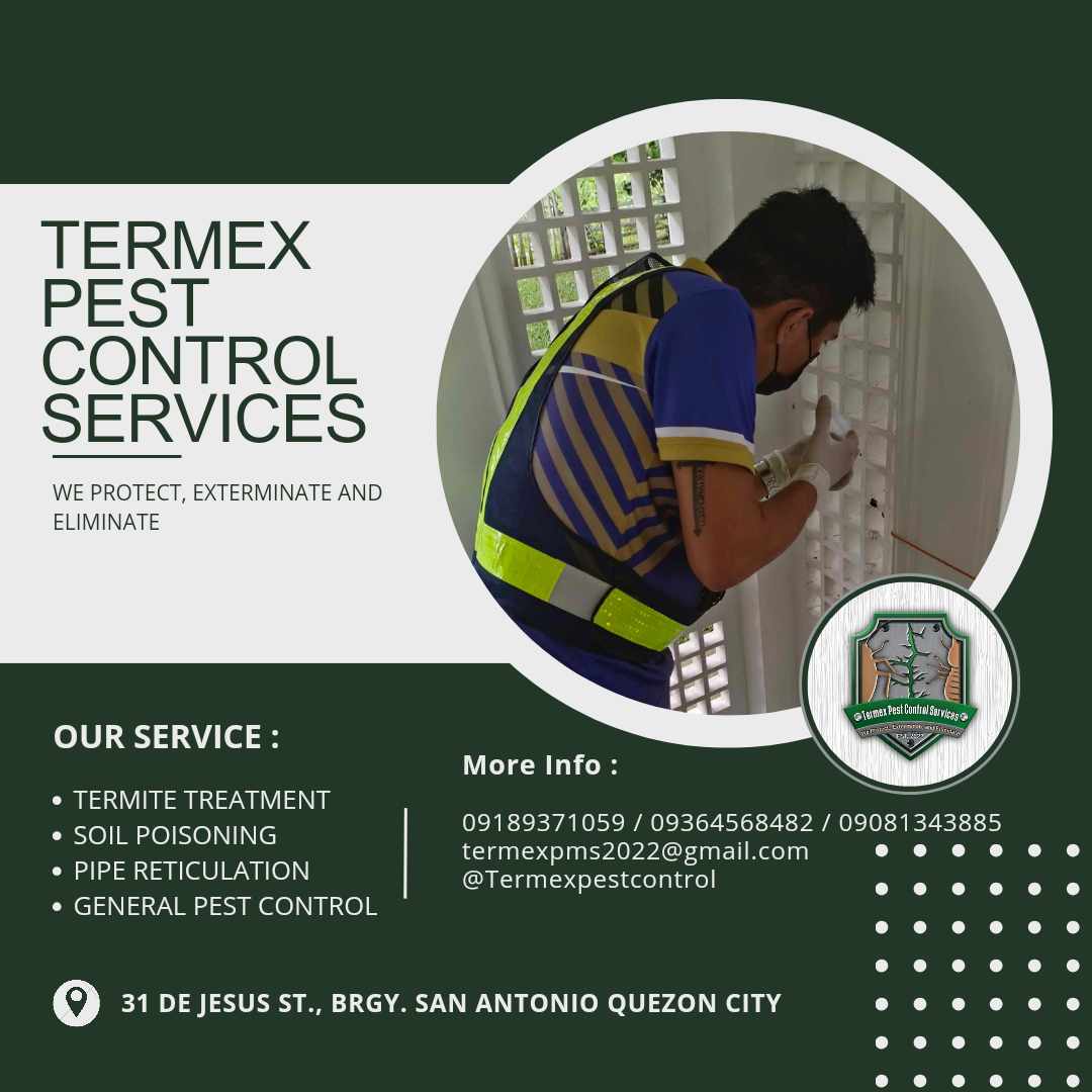 Termex featured service 7