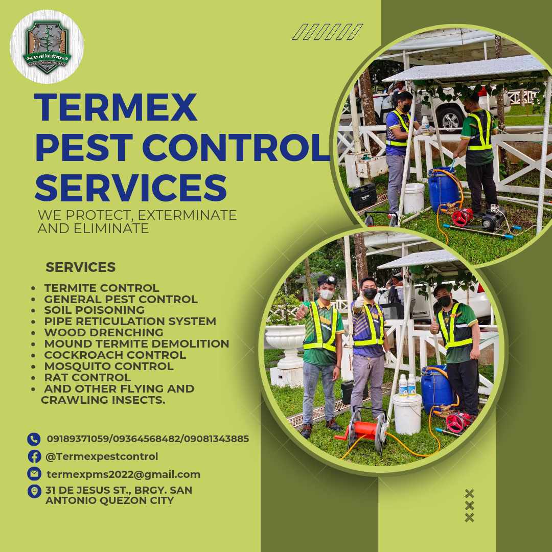 Termex featured service 0